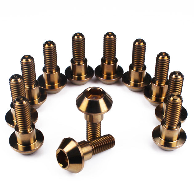 Disc Brake Rotor Bolts