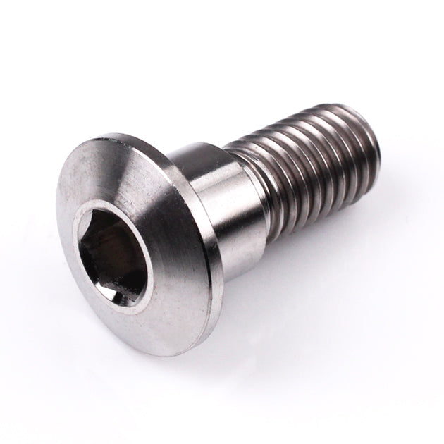 Suzuki Late Titanium Front Disc Bolt M8 (1.25mm) x 22mm Polished