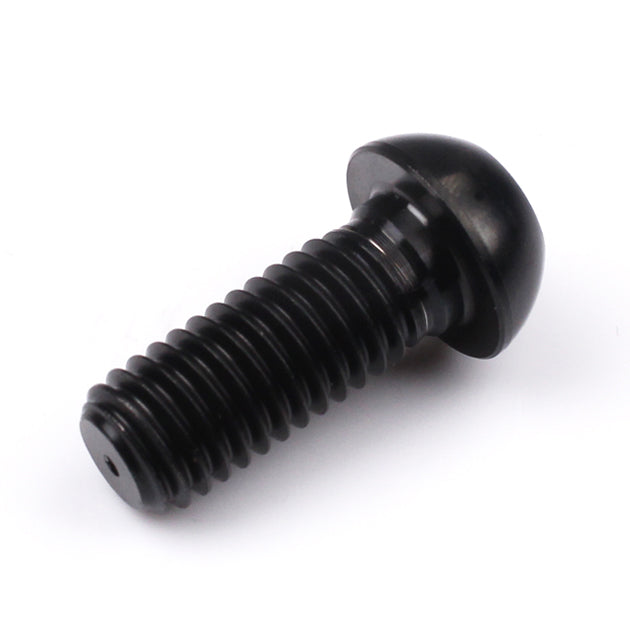 Ducati / Aprilia Titanium Front Disc Torx Head Bolt M8 (1.25mm) x 20mm Black