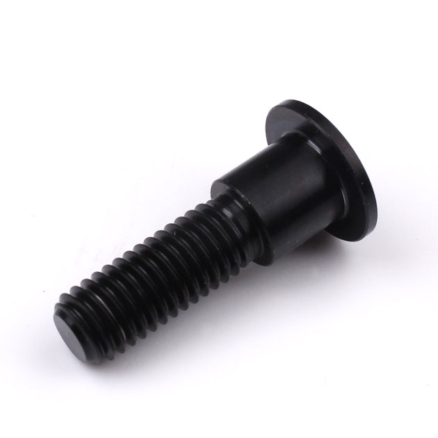 Triumph Titanium Front Disc Bolt M8 (1.25mm) x 30mm Black