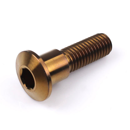 Triumph Titanium Front Disc Bolt M8 (1.25mm) x 30mm Bronze