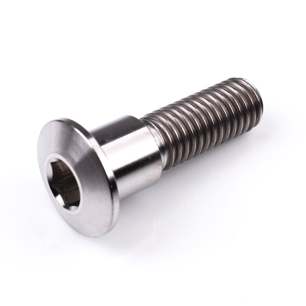 Triumph Titanium Front Disc Bolts M8 (1.25mm) x 30mm Polished Qty x 12